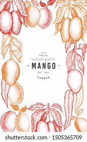 Mango frame template. Hand drawn vector tropic fruit illustration. Engraved style fruit. Vintage exotic food banner.