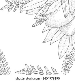 Mango frame vector botanical illustration. Concept for print, web design, cards, label, banner