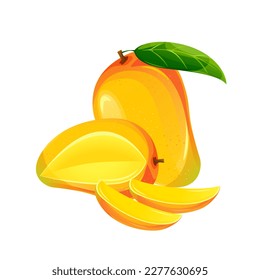 Mango, a fresh exotic fruit.Whole mango, slices, half.Vector illustration,