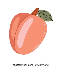 mango fresh fruit delicious icon