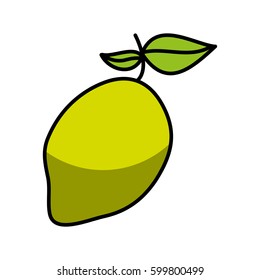 mango fresh fruit drawing icon vector illustration design