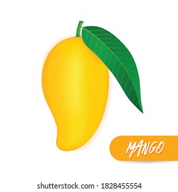 Mango fresh fruit graphic vector illustration.