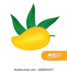 Mango fresh fruit graphic vector illustration.