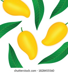 Mango fresh fruit graphic vector illustration.