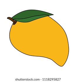 mango fresh fruit healthy
