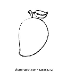 mango fresh fruit icon