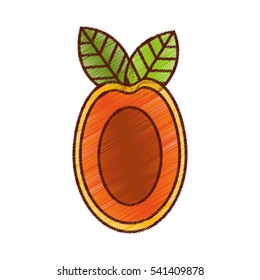 mango fresh fruit isolated icon vector illustration design