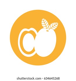 mango fresh fruit isolated icon