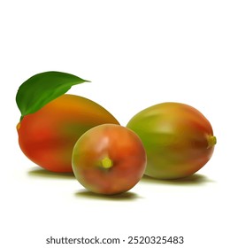 Mango. Fresh, nutritious, delicious mango. A delicious and healthy dessert. Elements for label design. Fruit ingredients in mesh technique. Vector illustration.