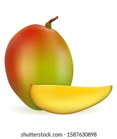 mango fresh ripe exotic fruit vector illustration isolated on white background
