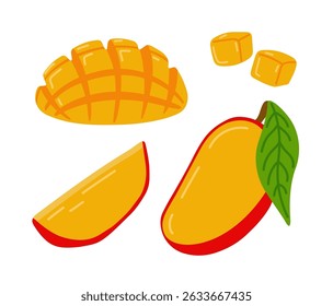 Mango fresh tropical exotic fruit. Sliced, cut, peeled fruit. Vector hand-drawn illustration, isolated on white background.