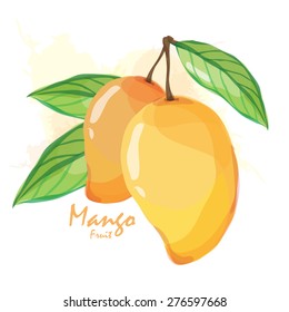 mango fruit