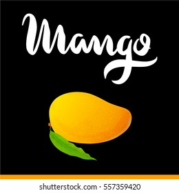 Mango fruit banner packing design. Mango fruit on the black background. Vector illustration icon.  
