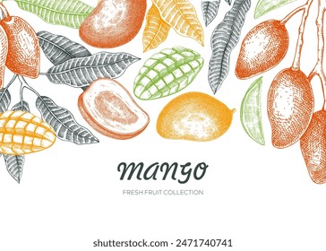 Diseño de borde de fruta de mango. Fondo tropical. Boceto de mango maduro, Ilustración vectorial dibujada a mano. Embalaje de jugo, Anuncio de plantas exóticas, impresión. NO AI generado