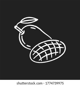 Icono blanco de tiza de fruta de mango sobre fondo negro. Fruta nacional india. Cocina tropical fresca. Símbolo de prosperidad. Cultura del sur de Asia. Producción agrícola. Tablero aislado vectorial