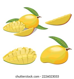 Mango fruit collection,whole,half,sliced,composition on a white background.Vector illustration of a set of ripe mango for juice packs,desserts,textiles.