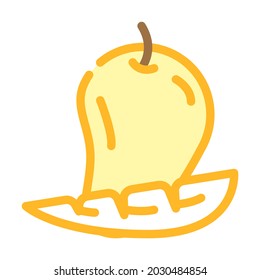vector de icono de color de frutos de mango. signo de fruto de mango. ilustración de símbolo aislado