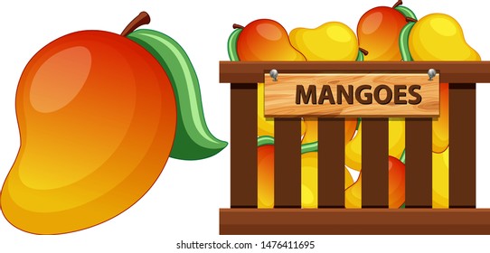 Download Mango Crate Images Stock Photos Vectors Shutterstock PSD Mockup Templates