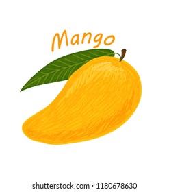 Mango, fruit doodle drawings vector illustration