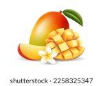 Mango fruit with flower design element. Mangoes cube cutting perfect isolate illustration, mangos slice and whole 3d pieces group vector image