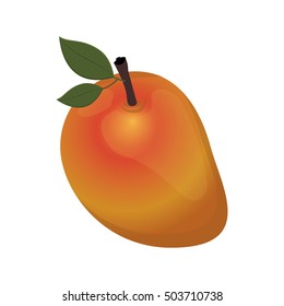 mango fruit food