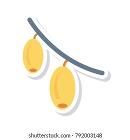 mango fruit food 