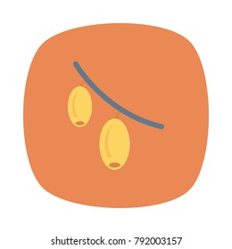 mango fruit food 