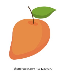 Mango fruit fresh food