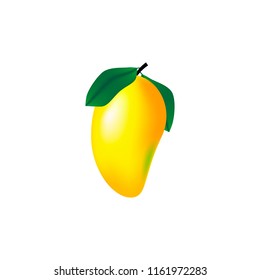 Mango fruit for fresh juice. 3d realistic yellow, red, orange ripe mango isolated on white background for packaging or web design. Vector EPS 10.