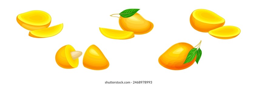 Mango Fruit with Fresh Juicy Pulp and Rind Vector Set