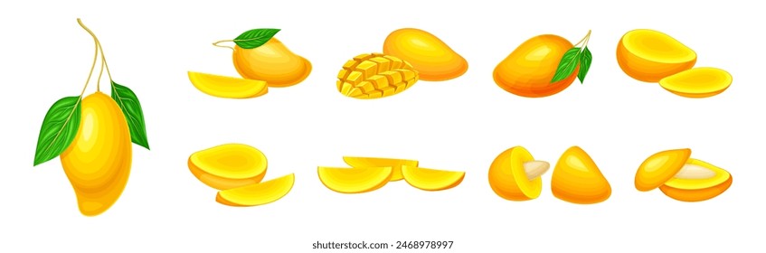 Mango Fruit with Fresh Juicy Pulp and Rind Vector Set