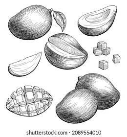 Mango fruit graphic black white isolated sketch illustration vector 