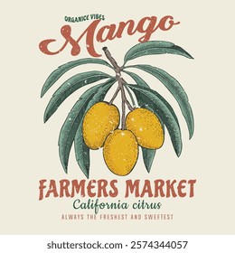 Mango fruit graphics, summer t-shirt design, Mango slogan typography print design, women's graphic tee artwork for food fashion mood, summer t-shirt, girls food fashion graphic prints for mango fruit