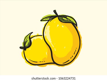 mango fruit hand drawn