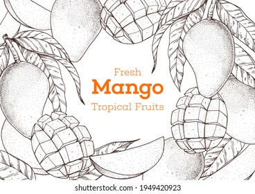 Mango fruit hand drawn package design. Vector illustration. Sketch for design, brochure illustration. Vintage retro design.Hand drawn sketch style mango banner. Organic fresh fruit vector illustration