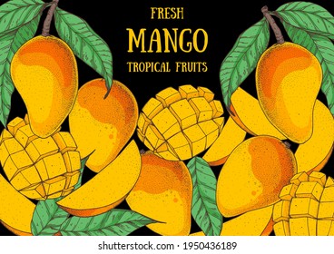 Mango fruit hand drawn package design. Vector illustration. Design, package, brochure illustration. Mango frame illustration. Can used for packaging design. Colorful.