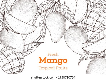 Mango fruit hand drawn package design. Vector illustration. Sketch for design, brochure illustration. Vintage retro design.Hand drawn sketch style mango banner. Organic fresh fruit vector illustration