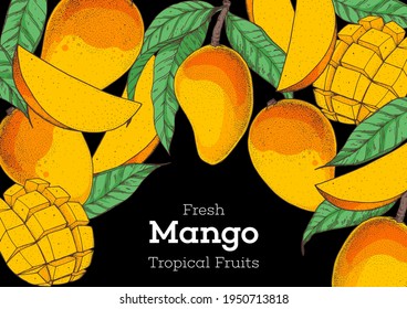 Mango fruit hand drawn package design. Vector illustration. Design, package, brochure illustration. Mango frame illustration. Can used for packaging design. Colorful.