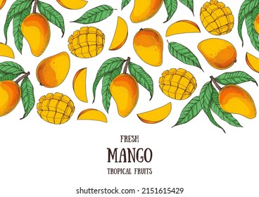 Mango fruit hand drawn package design. Vector illustration. Design, package, brochure illustration. Mango frame illustration. Can used for packaging design. Colorful.