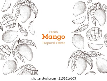 Diseño del paquete elaborado a mano con fruta de mango. Ilustración vectorial. Esbozo para diseño, ilustración de folleto. Diseño retro vintage.Banner de mango estilo boceto dibujado a mano. Ilustración vectorial de fruta fresca orgánica