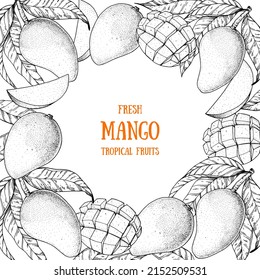 Diseño del paquete elaborado a mano con fruta de mango. Ilustración vectorial. Esbozo para diseño, ilustración de folleto. Diseño retro vintage.Banner de mango estilo boceto dibujado a mano. Ilustración vectorial de fruta fresca orgánica