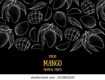 Mango fruit hand drawn package design. Vector illustration. Sketch for design, brochure illustration. Vintage retro design.Hand drawn sketch style mango banner. Organic fresh fruit vector illustration