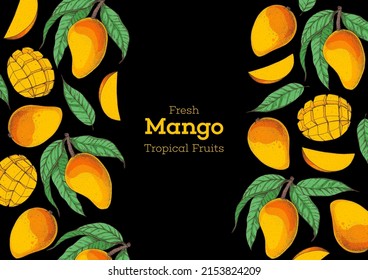 Mango fruit hand drawn package design. Vector illustration. Design, package, brochure illustration. Mango frame illustration. Can used for packaging design. Colorful.