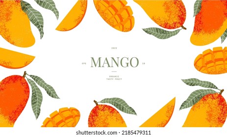 Mango fruit horizontal design template. Vintage textured style. Ripe mango plant with leaves. Vector illustration