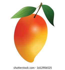 Mango fruit icon. Cartoon of mango fruit vector icon for web design isolated on white background