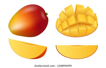 Mango fruit icon set. Realistic set of mango fruit vector icons for web design