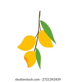 Ilustración de fruta de mango. Fruta de mango mordida. Diseño plano de fruta de mango. Ilustración de frutas. Vector de mango con hoja verde