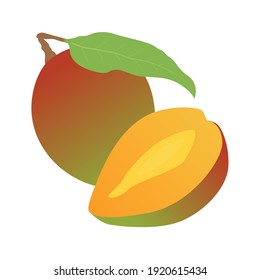 mango fruit illustration for children's book