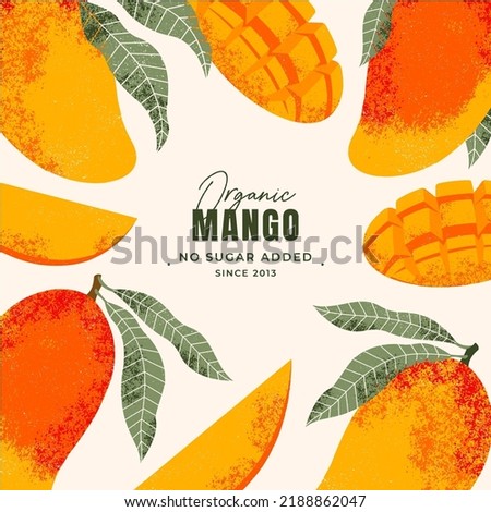 Mango fruit illustration frame design template. Vintage textured style. Ripe mango plant with leaves. Vector illustration
