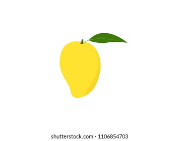 Mango fruit illustration Vector